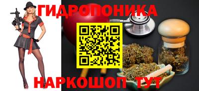 гашик Донецк
