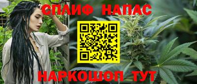 гашик Донецк