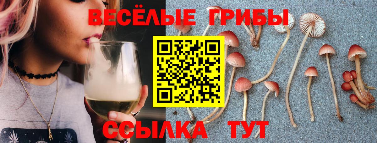 Кувандык  Псилоцибиновые грибы ЛСД  Вход с VPN 
